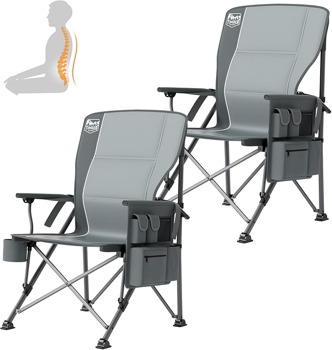 Lumbar Support Grey-2 Set
