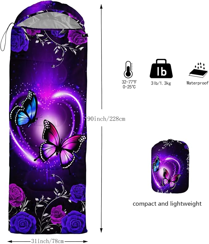 Butterfly2513