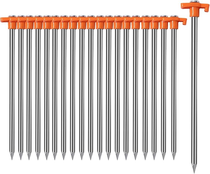 Orange 10pcs