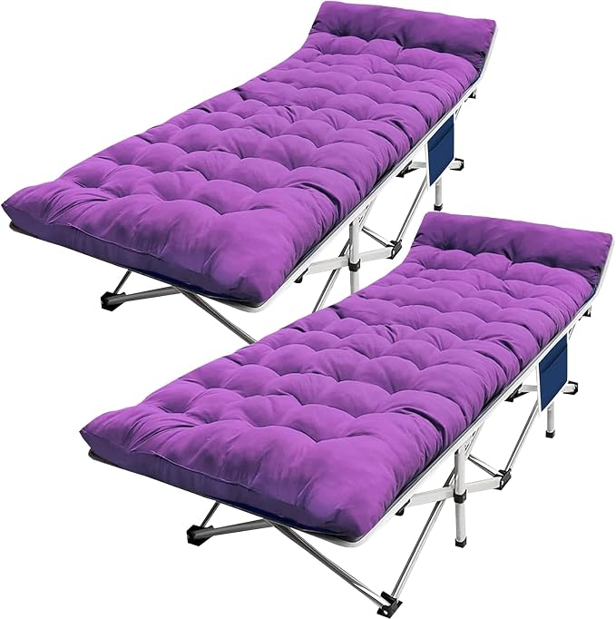 Standard 2 Pack Purple