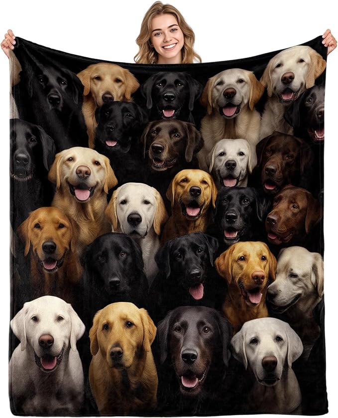 Labrador