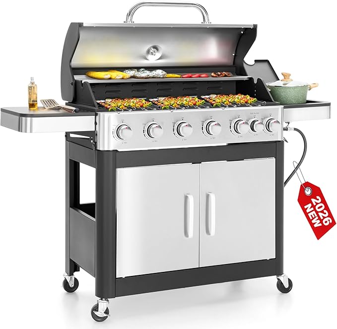6 Burner Silver
