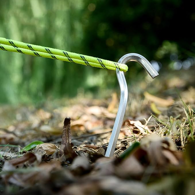 10 roots