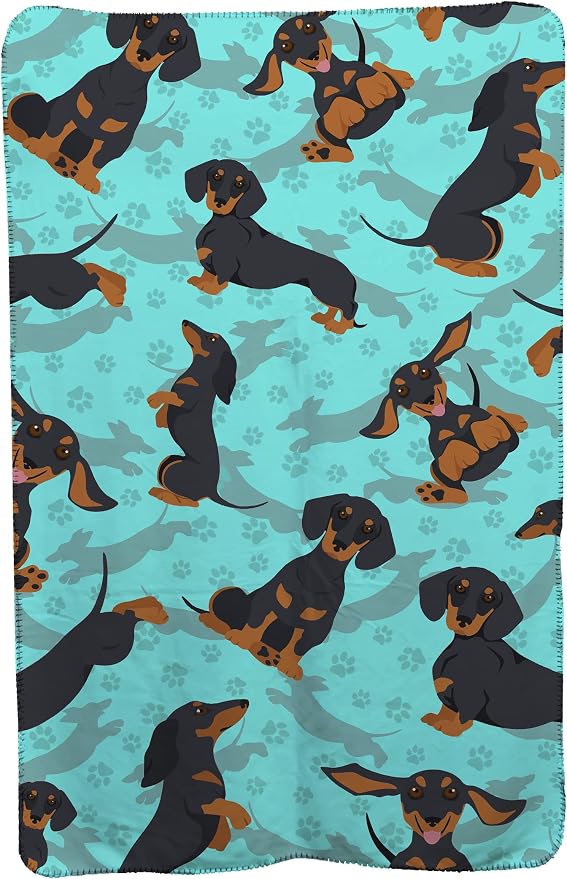 Dachshund - Black and Tan
