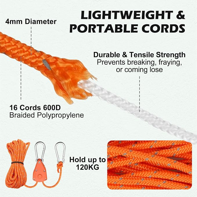Orange-02