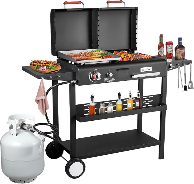 Dual-Fuel (Propane & Charcoal)