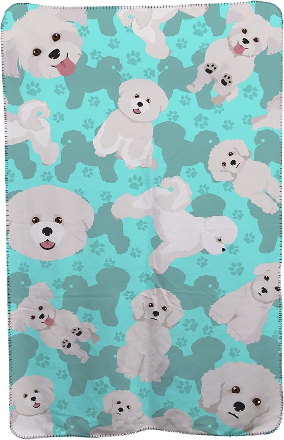Bichon Frise