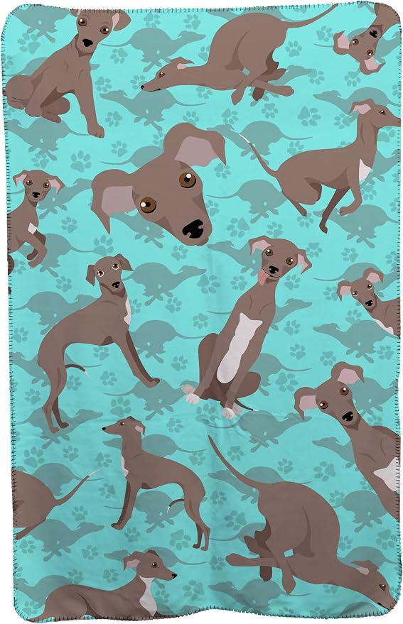 Italian Greyhound - Fawn