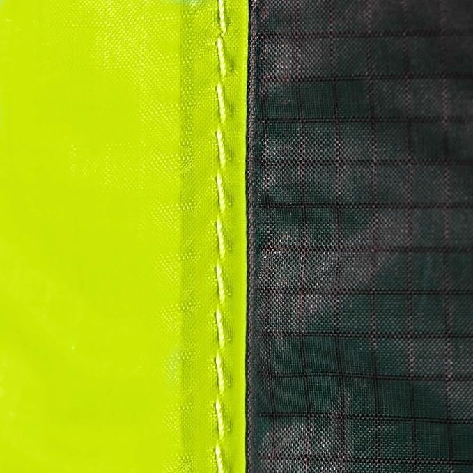 Electric Lime