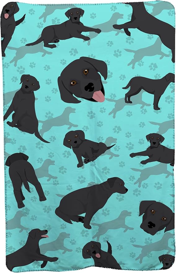 Labrador Retriever - Black
