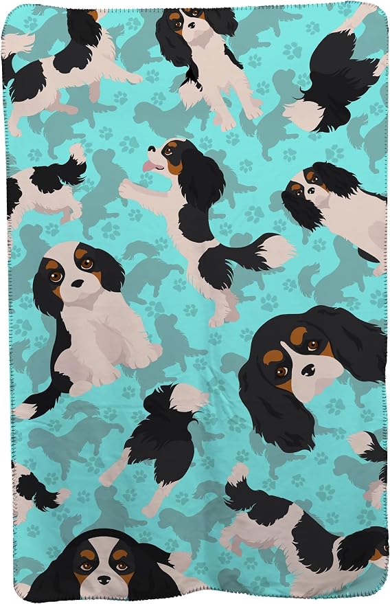 Cavalier Spaniel - Tricolor