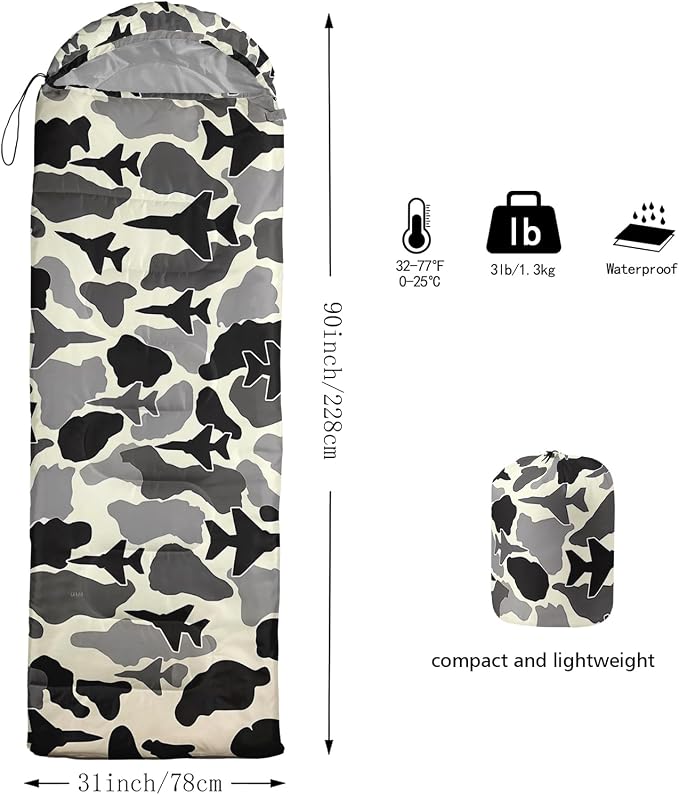 Camo Aircraft