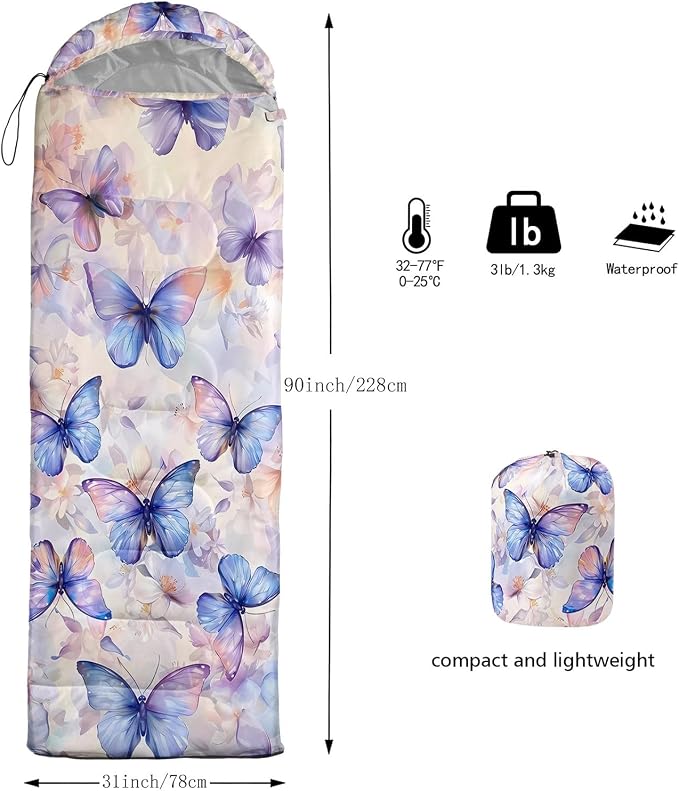 Butterfly-2
