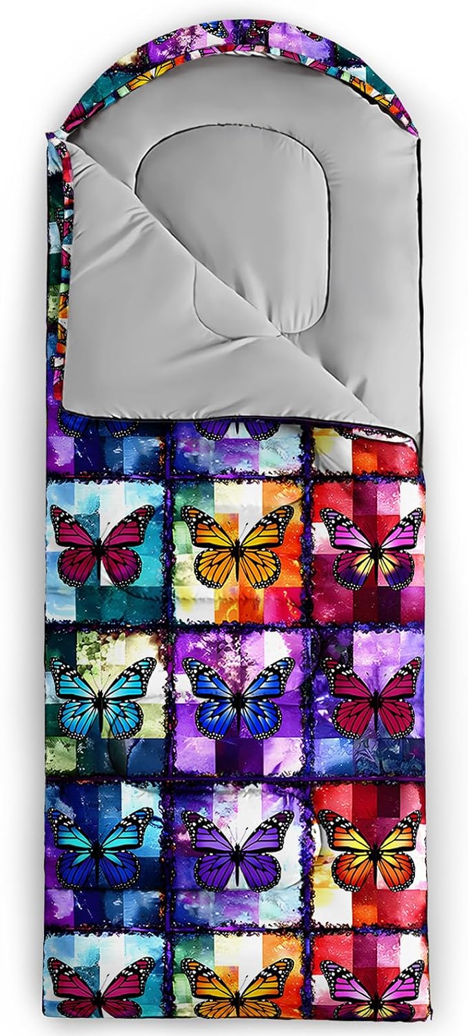 Colorful Butterfly 30