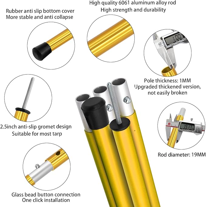 Yellow-5 Sections