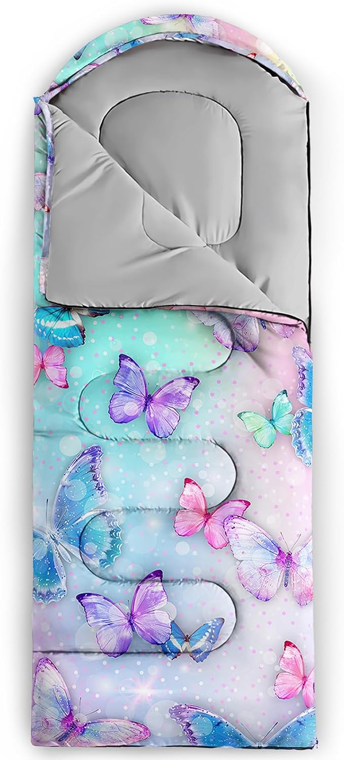 Colorful Butterflies