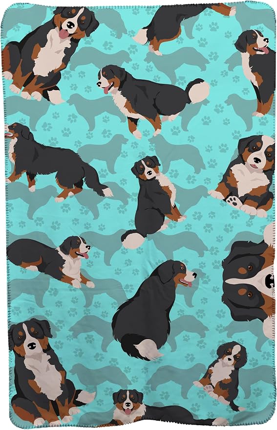 Bernese Mountain Dog