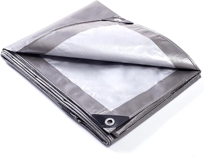 Gray/Silver