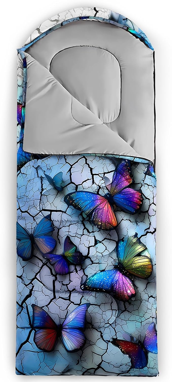Cartoon Butterfly 1