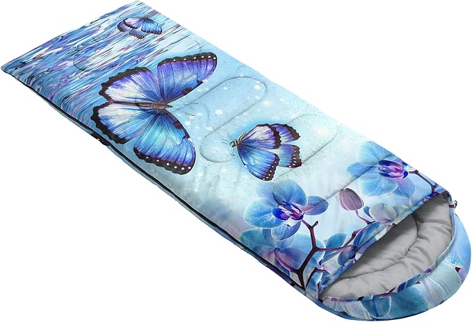 Blue Butterfly 3