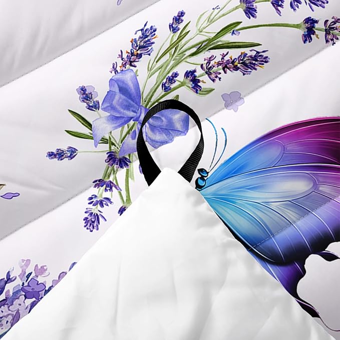 Butterfly02