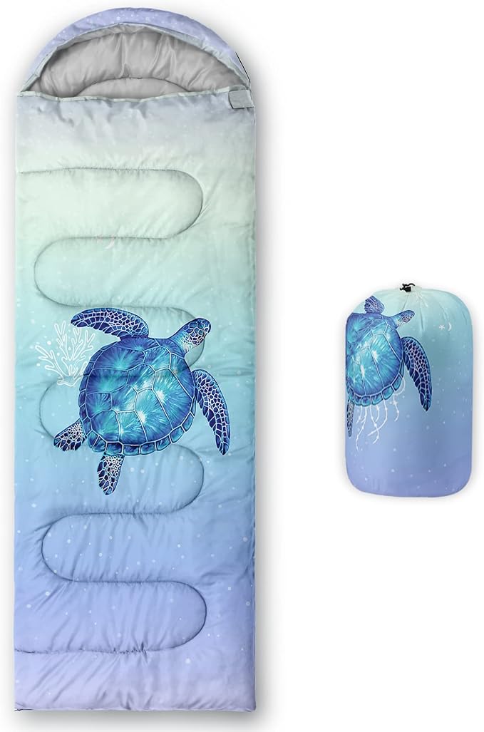 Turtle 9