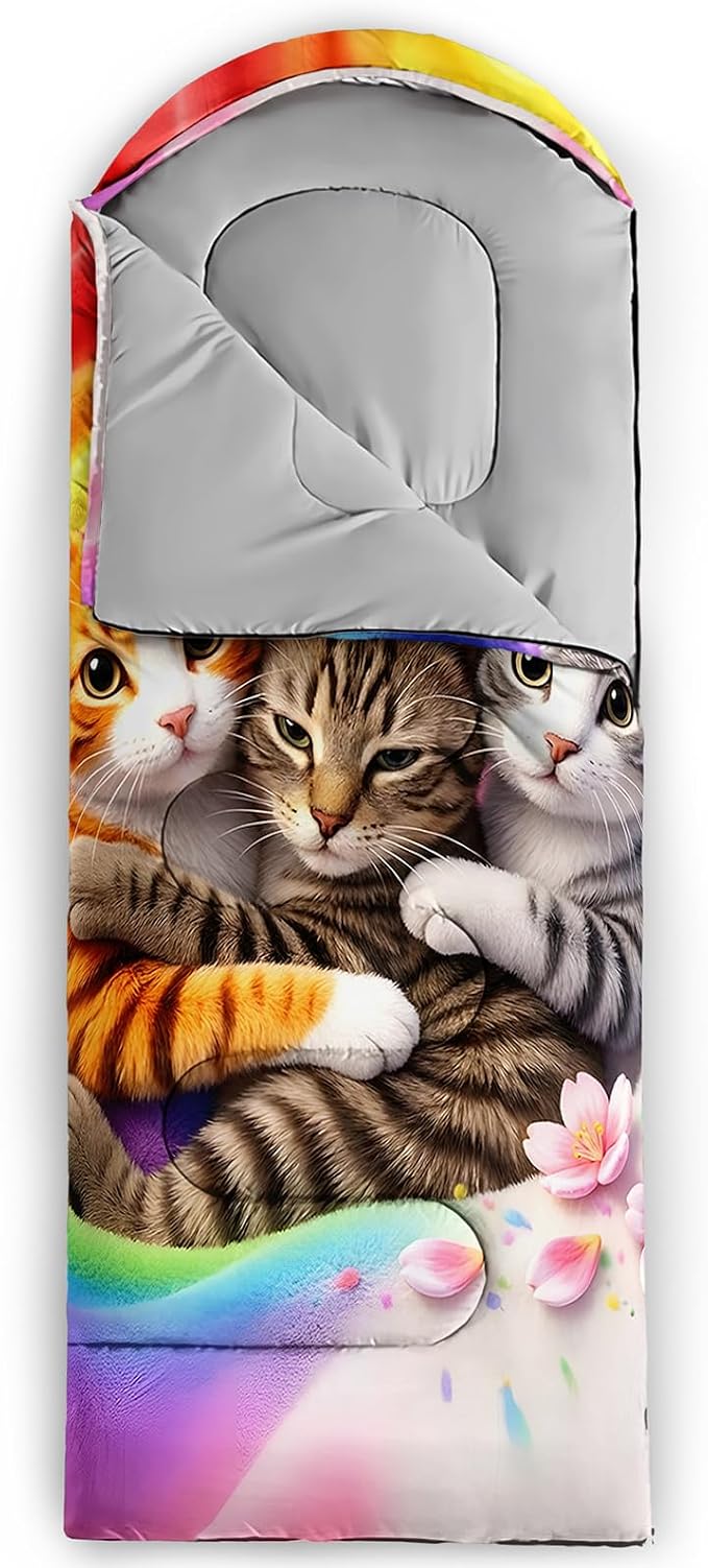 Rainbow Cats 10