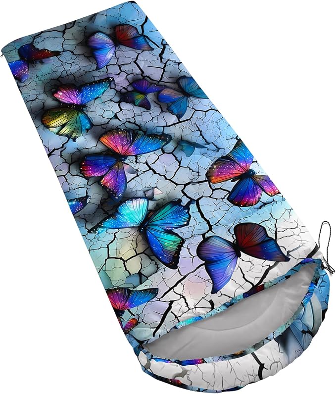 Cartoon Butterfly 1