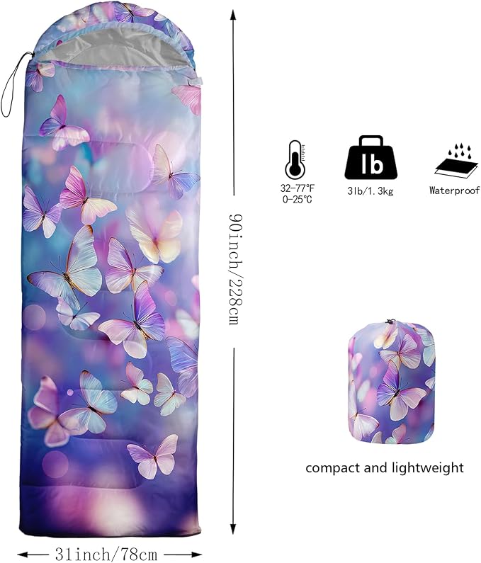 Color Butterfly 27