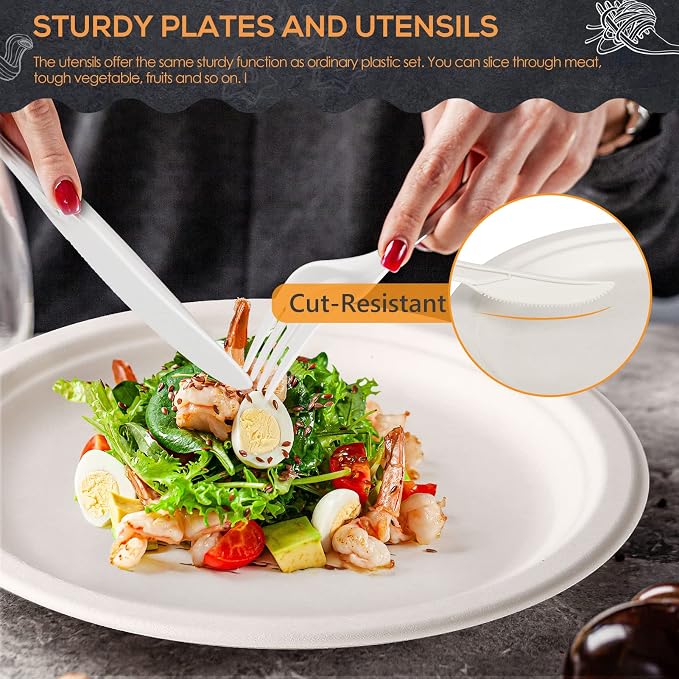 White 250 Plates Set