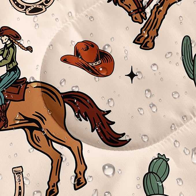 Cowboy2