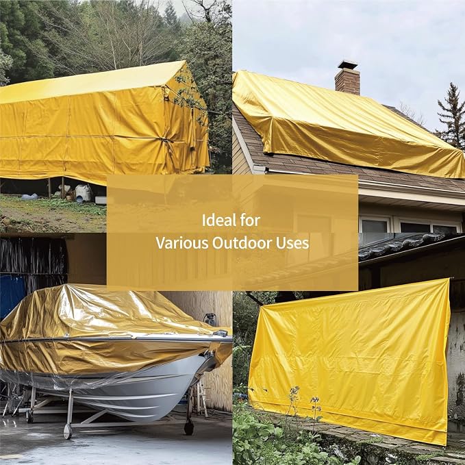 Yellow/Silver