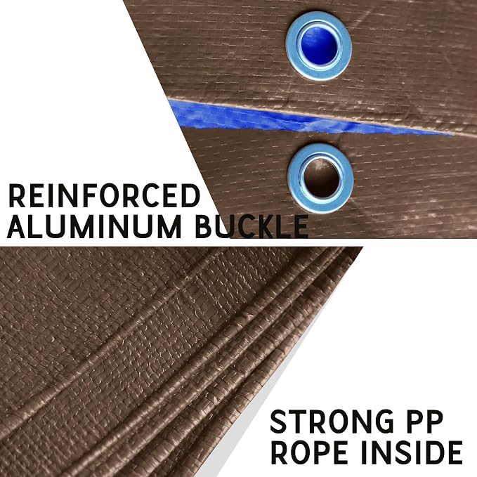 Brown/Blue