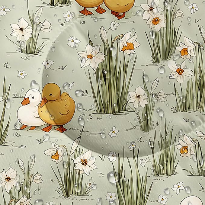 Duck3