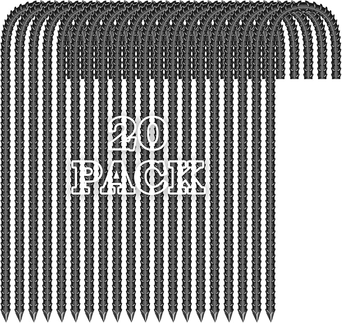 20PCS
