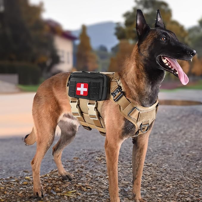 ACU