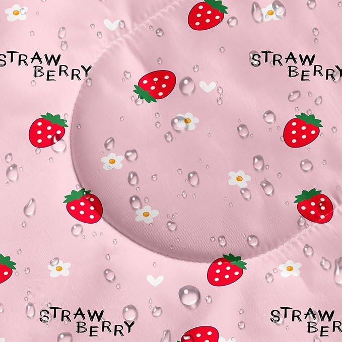 Little Strawberry