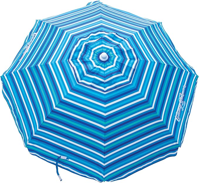 Blue and White