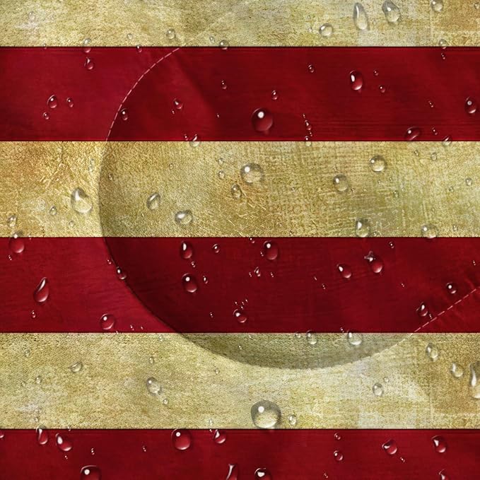 American Flag 1