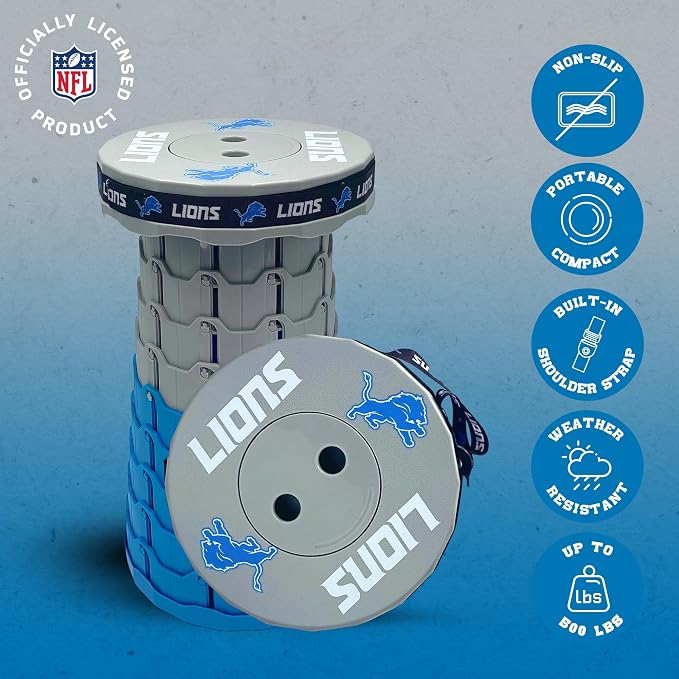 𝗗𝗲𝘁𝗿𝗼𝗶𝘁 𝗟𝗶𝗼𝗻𝘀