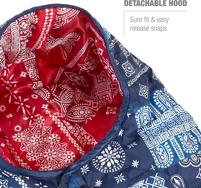 Blue & Red Bandana