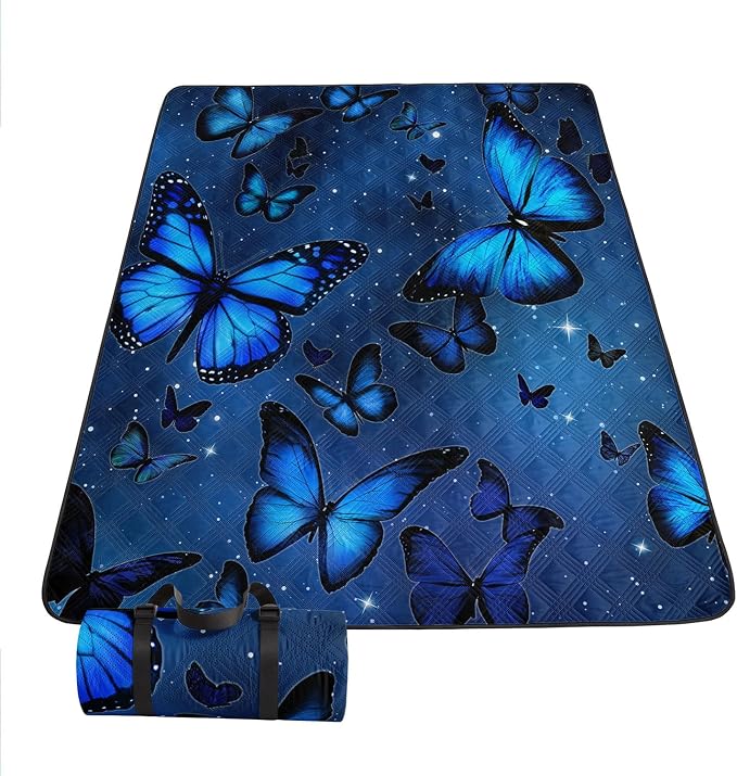 Cartoon Butterfly