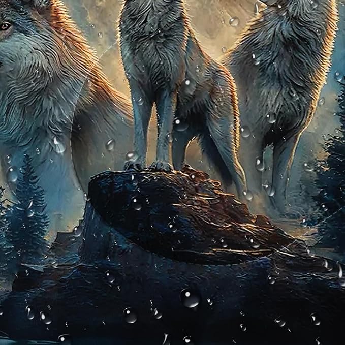 Wolf211
