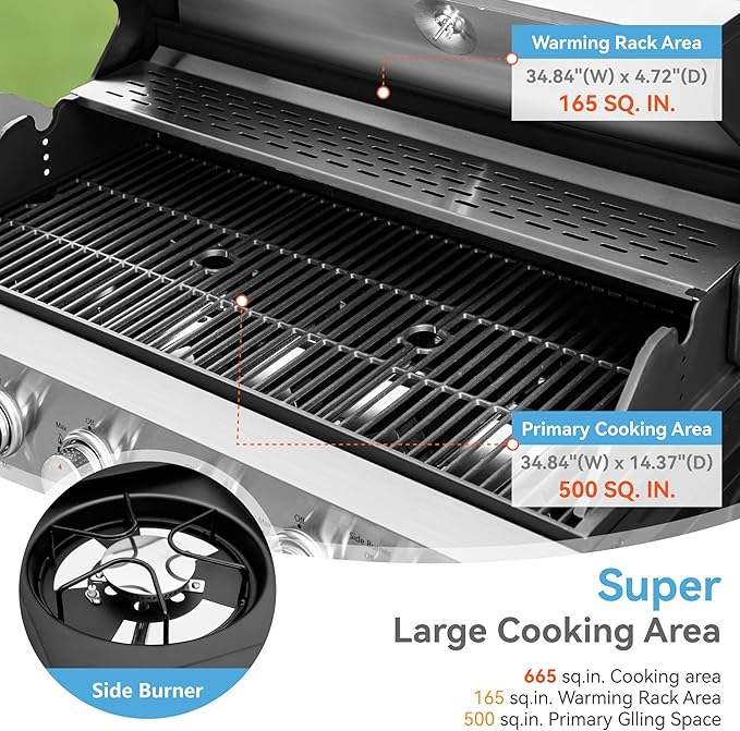 6 Burner Silver