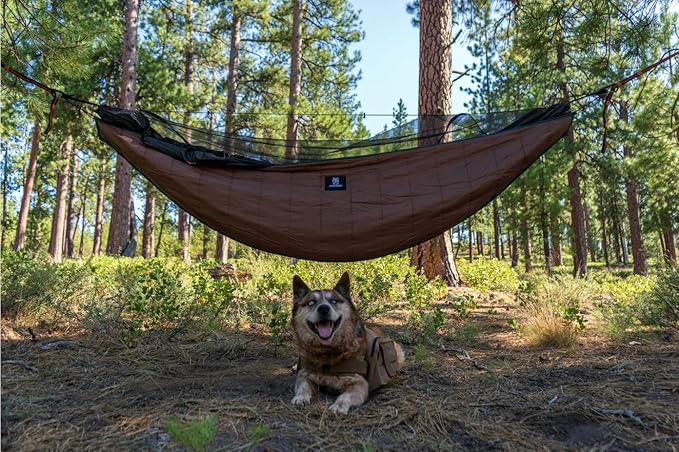 Coyote Brown