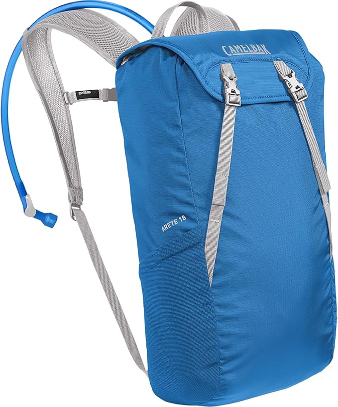 Indigo Bunting/Silver 2.0