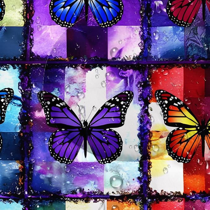 Colorful Butterfly 30
