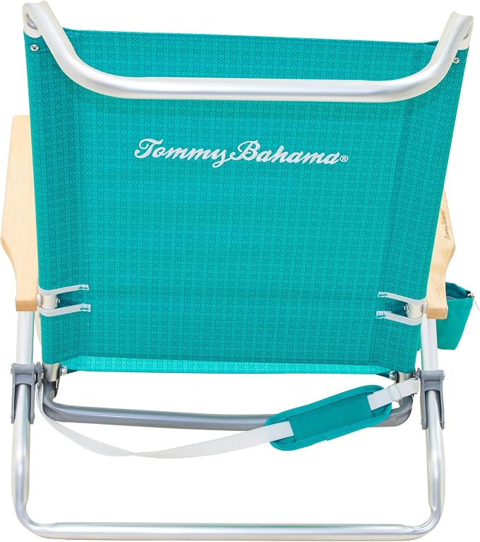 Turquoise Check