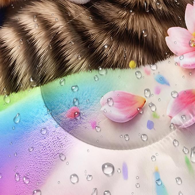 Rainbow Cats 10