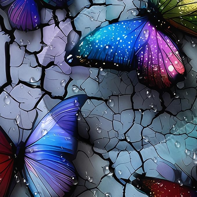 Cartoon Butterfly 1